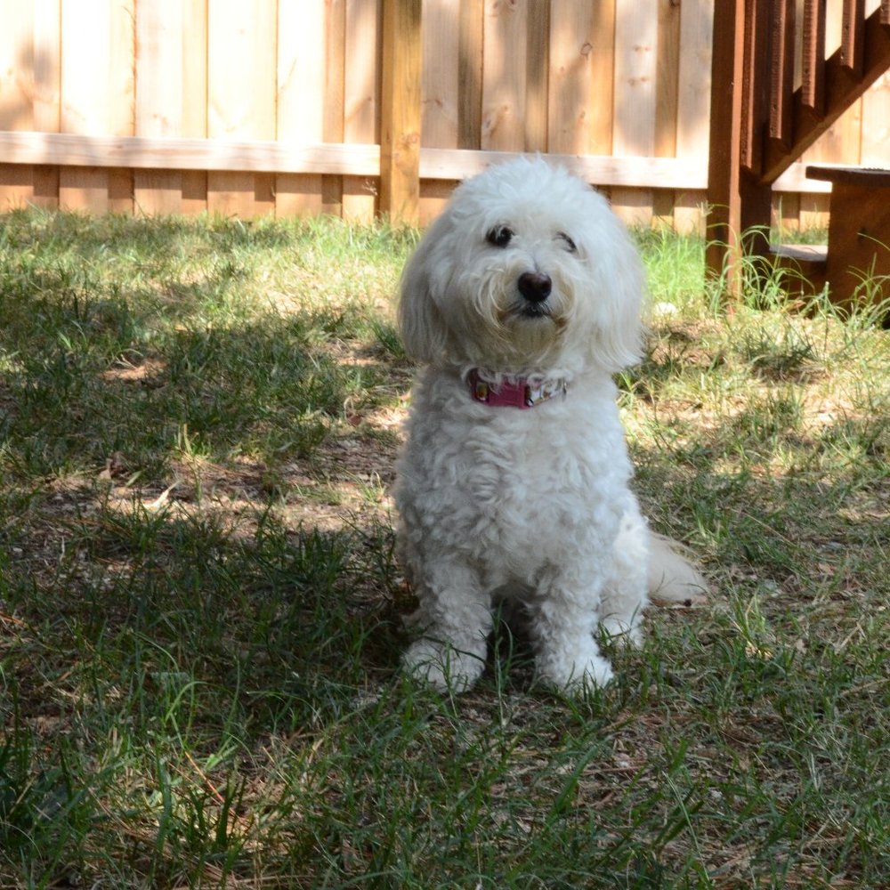 Meet your Posher, Jess